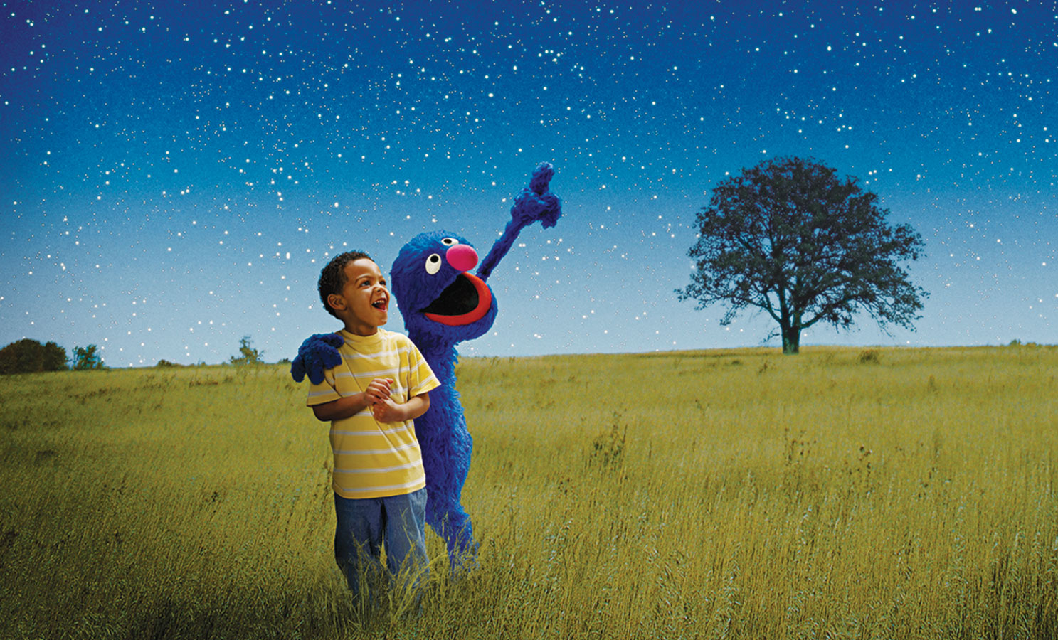 Grover and a young child stare up at the stars.